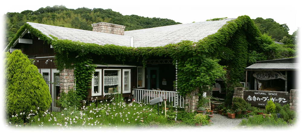 kodera herb garden